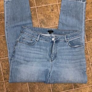 Ann Taylor Classic Blue Denim Jeans